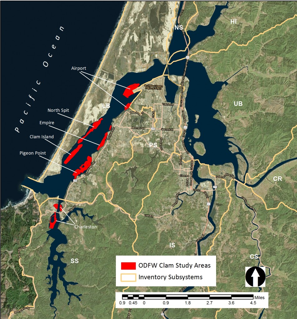Figure 1. 2009 ODFW SEACOR study areas located in the South Slough (SS) and Lower Bay (LB) subsystems.