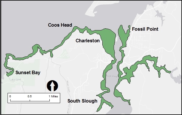 Figure 14. Survey area for Yocom and Edge (1929) is highlighted above in green.  