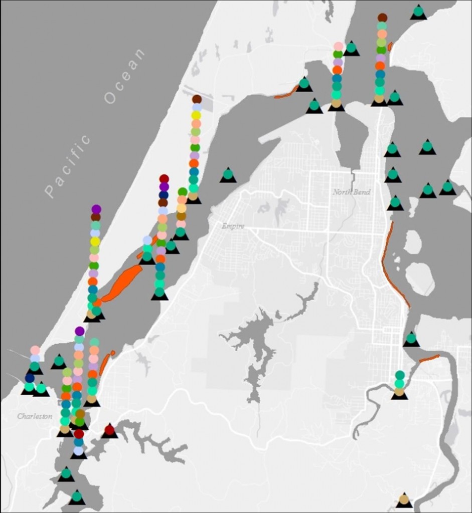 Figure 2: Documented locations of marine fish in the Coos estuary both historically and currently. This is an under-representation of marine speciess, since only stations where GPS coordinates were documented are shown. Stations adjacent to each other showing same data were also removed to enhance map readability. Compiled from: Hayslip et al 2006; Miller and McRae 1978; Miller and Shanks 2004 and 2005; ODFW 2013b, OIMB 2013; Rooper et al 2003.