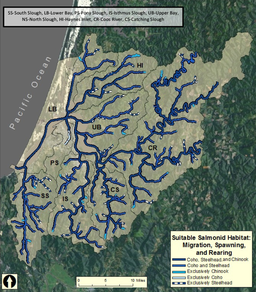 Figure 1. The spatial extent of habitat in the study area considered suitable for Coho and Chinook salmon, and for winter Steelhead migration, spawning, or rearing sometime during the past five reproductive cycles (ODFW 2013f).