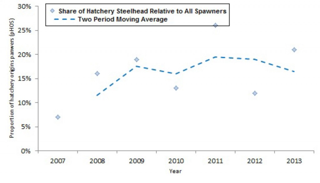 Figure 19. Proportion of hatchery origin spawners (pHOS) for the 2007 to the 2013 spawning seasons in the MSCMA. Data: Suring and Lewis 2008; Suring et al. 2008; Brown and Lewis 2009 and 2010; Brown et al. 2011 and 2012; Jacobsen et al. 2013