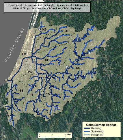 Figure 2. The spatial extent of coho salmon. Data: ODFW 2013b 