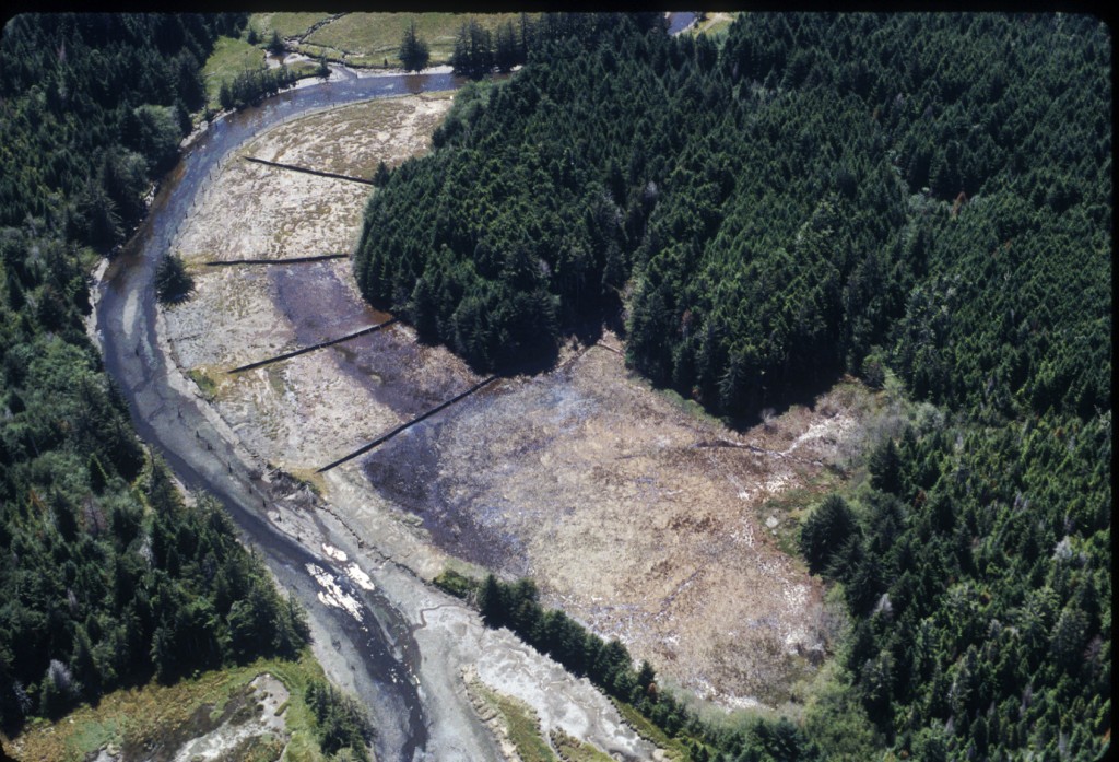 Figure 11. Aerial photo of Kunz Marsh in 1997. The restoration area is divided into four cells by temporary partitions. The elevation of each cell varies with lowest elevation occurring closer to the bottom of the photo and the highest elevation occurring nearer the top. The division of the marsh into cells allowed researchers to examine the effect of marsh elevation on the natural recruitment of emergent salt marsh vegetation and the development of marsh function.  