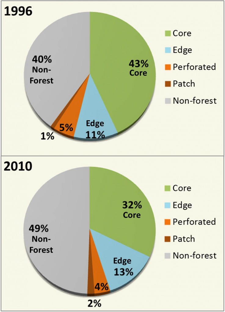 Figure 5. Net change in forest fragmentation classes from 1996 and 2010. Core = forest surrounded by forest; Edge = forest on the edge of a core forest; Perforated = forest within core forest next to small clearings; Patch = small fragments of forest. Data: C-CAP 2014