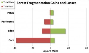 Figure 6. Distribution of gains and losses of each forest fragmentation class from 1996 to 2010. Gains/losses are conversions from non-forest lands as well as from other forest fragmentation classes. Data: C-CAP 2014