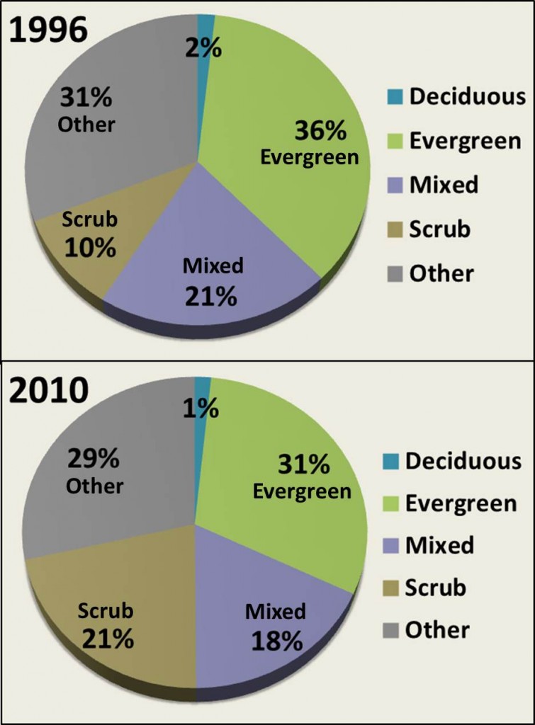 Figure 9. Percent scrub/shrub and three forest types in the project area (deciduous, evergreen and mixed) in 1996 and 2010. Data: C-CAP 2014
