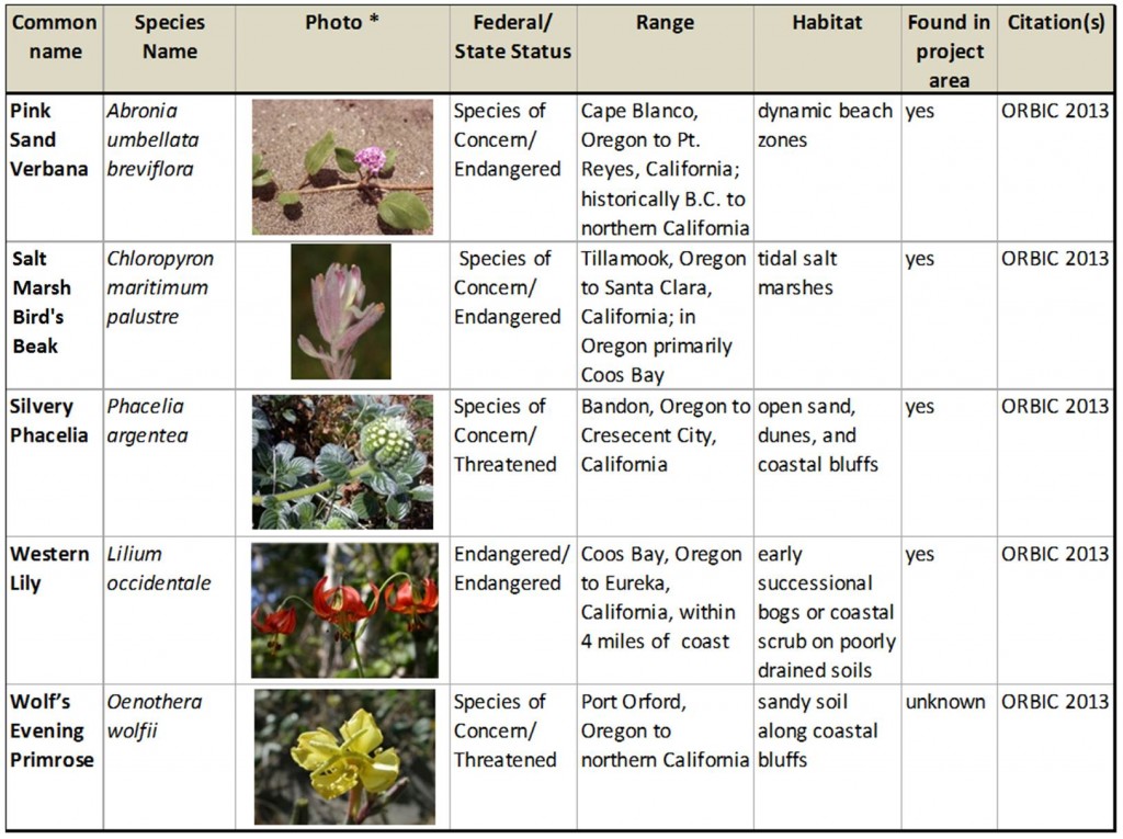 Table 1. Summary of rare and endangered species with ranges within the project area. Photos: Oregon Department of Agriculture, except western lily (USFWS).  