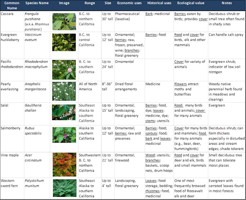 Table 4. Range, size, and uses of the most common understory species in the project area. Sources: Garrison and Smith 1974, Randall et al. 1981, Pojar and MacKinnon 1994, Tirmenstien 1990
