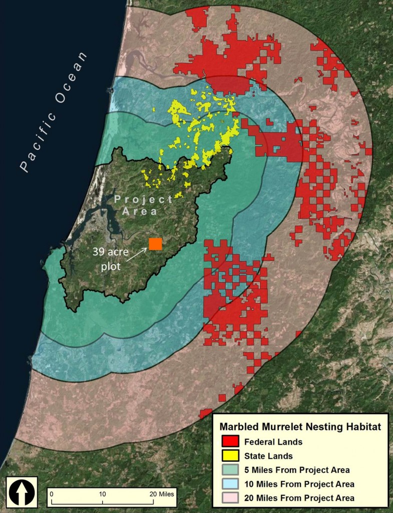 Figure 10. Critical nesting habitat on state and federal lands within the nesting range of marbled murrelets associated with the lower Coos watershed (Project Area). The nesting range is defined as approximately 20 miles or less from the project area boundary. The approximate location of the 39-acre plot of nesting habitat within project area is also mapped above. The size of this parcel has been enlarged to facilitate easy viewing. Data: USFWS 2011