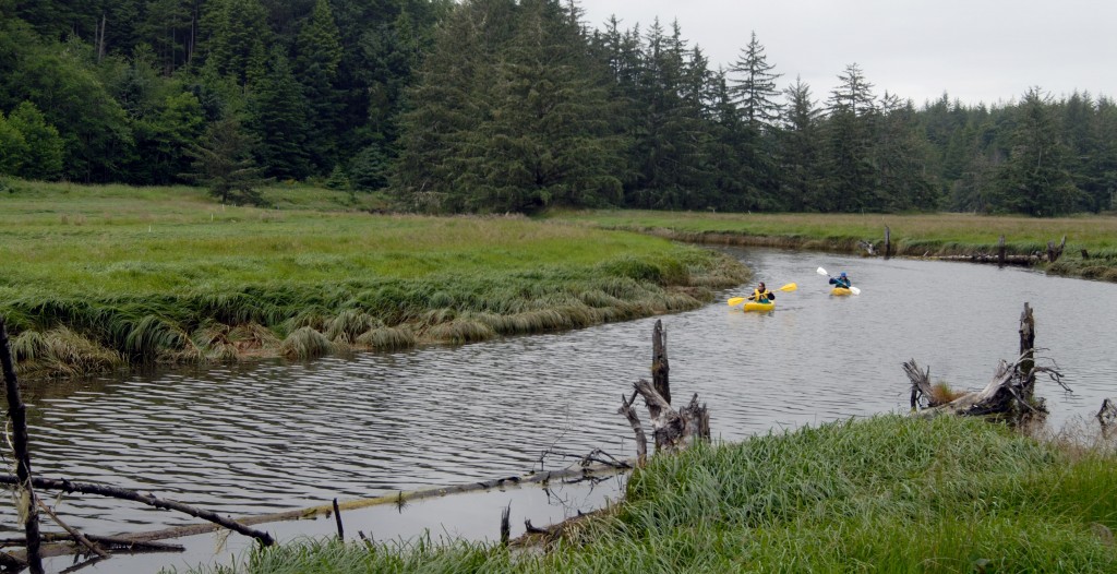 Present day kayakers paddling along the South Slough estuary, an arm of the Coos estuary. Source: South Slough NERR 