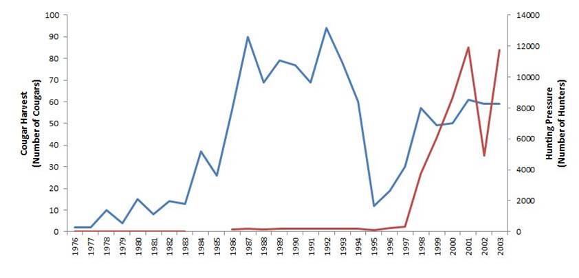 Figure 13. Cougar harvest (blue) and hunting effort (red) in Oregon (1976-2003). Generally, harvest has increased steadily since 1976 with the exception of a precipitous decline in 1994 following the prohibition of the use of dogs as cougar hunting aids in Oregon. Hunting participation ranged between approximately 20-30 hunters in the late-70s and early-80s. From 1986-1997, participation increased to approximately 150-200 hunters annually. The sharp increase in hunter participation beginning in the late 1990s likely reflects the availability of cougar tags, which increased dramatically during this same time. Data: ODFW 2006