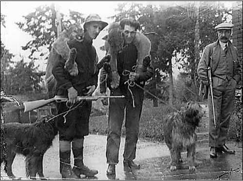 Figure 16. Cougar bounty hunters in British Columbia in the early 20th century. Cecil Smith (left) enjoyed some notoriety for his effectiveness as a cougar bounty hunter. Figure: KnowBC n.d. 