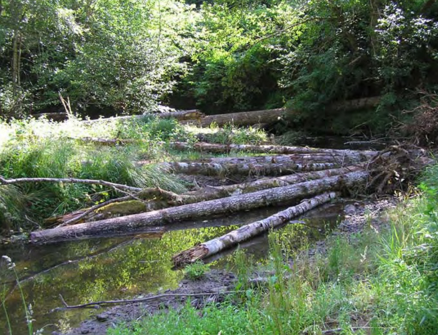 Figure 27. Tributary of the West Fork Millicoma River before (left) and after (right) intentional placement of large wood pieces. Source: CoosWA 2009 
