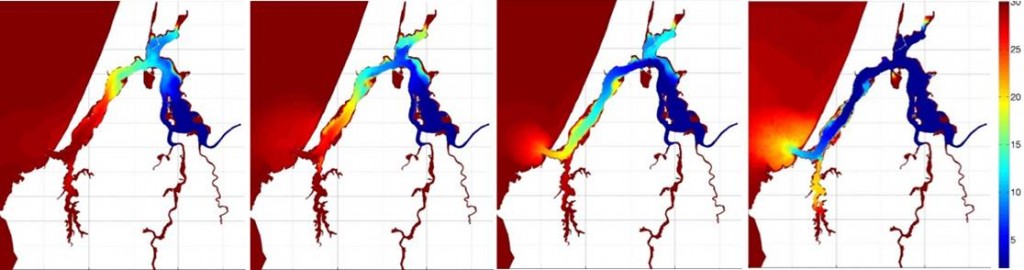 Figure 2. Computer screenshots of the prototype of the Coos estuary hydrodynamic model showing water surface salinity before, during and after a freshwater discharge event. Salinity color legend is shown at right.  Sutherland 2013.