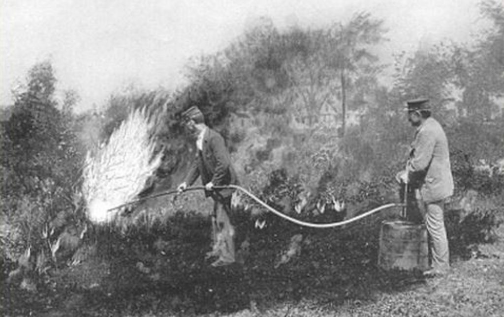 Figure 1. Two workers attempting eradicate European gypsy moth by burning the forest with kerosene (c. 1890). Photo: USDA 2003b