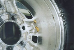 Figure 3. Asian gypsy moth egg masses on the inside of a vehicle wheel. Photo: Australian Department of Agriculture 2015